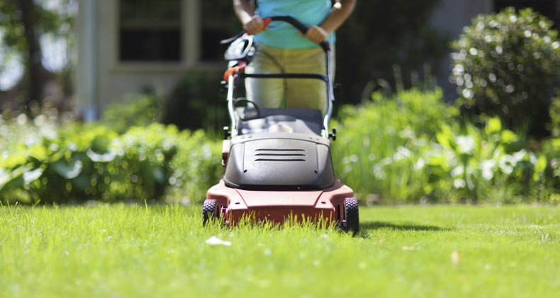 SPAM 🌱 TO ENCOURAGE GROWTH 🥰😌 #lawn #lawncare #lawnmower #lawntikto