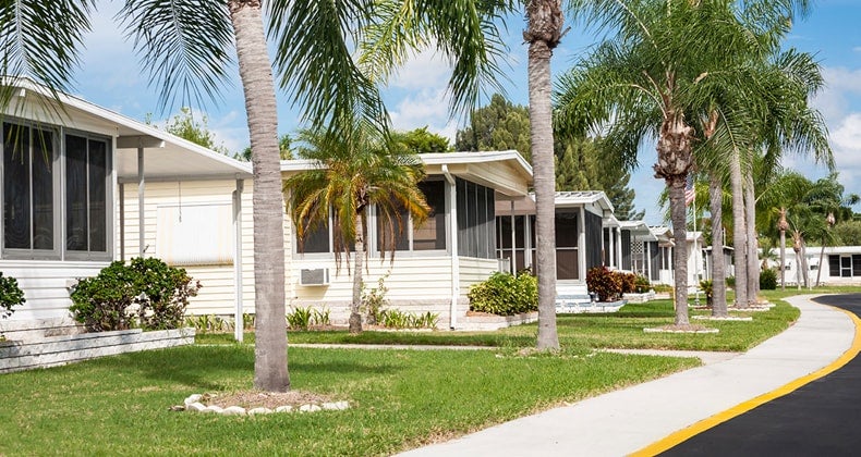 Mobile Homes And Palm Trees Mst 