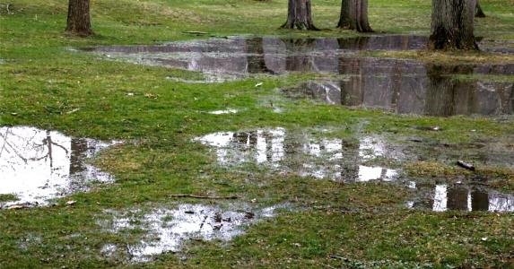 City Diverts Water Drainage Floods Neighbor S Property