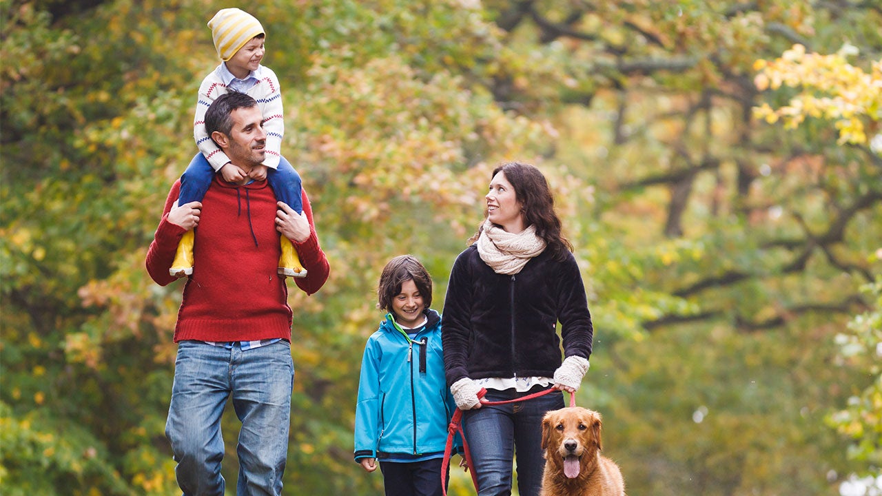 Family walking dog in woods