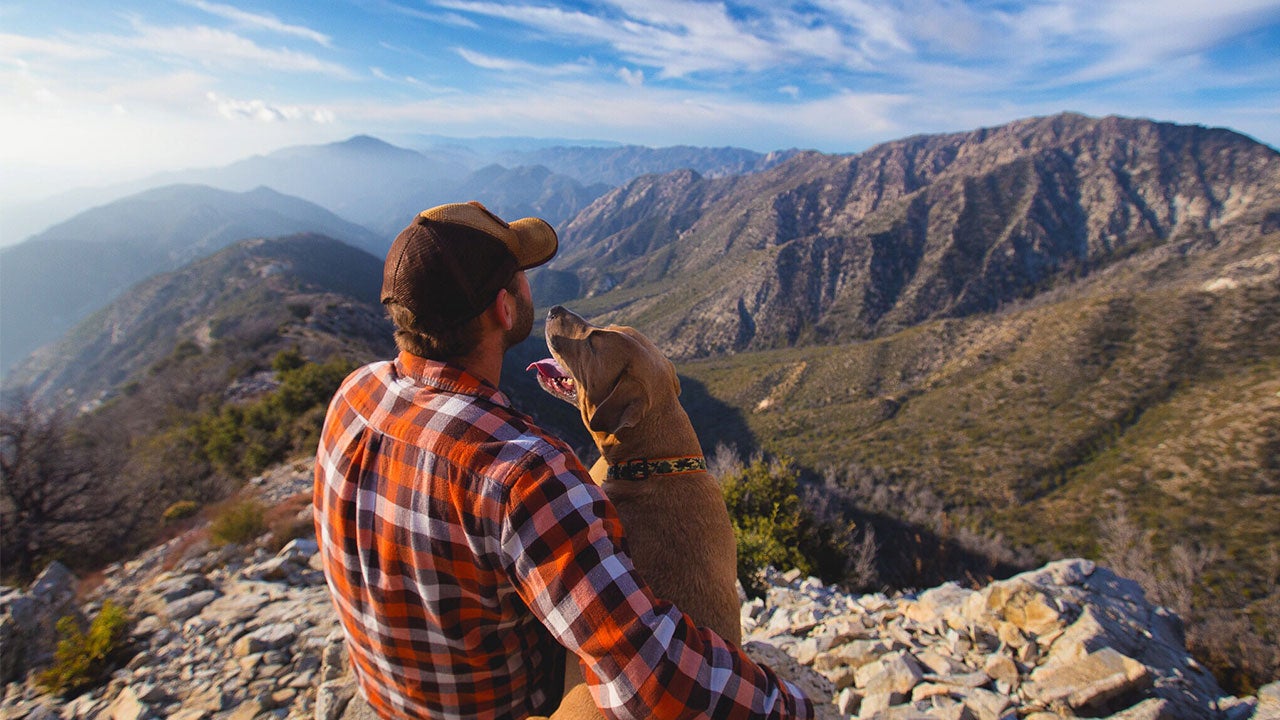 5 Financial Tips For Raising A Pet | Bankrate.com