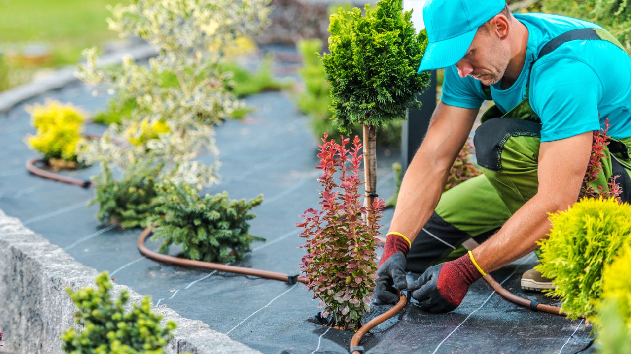 Landscaping Contractor Jacksonville
