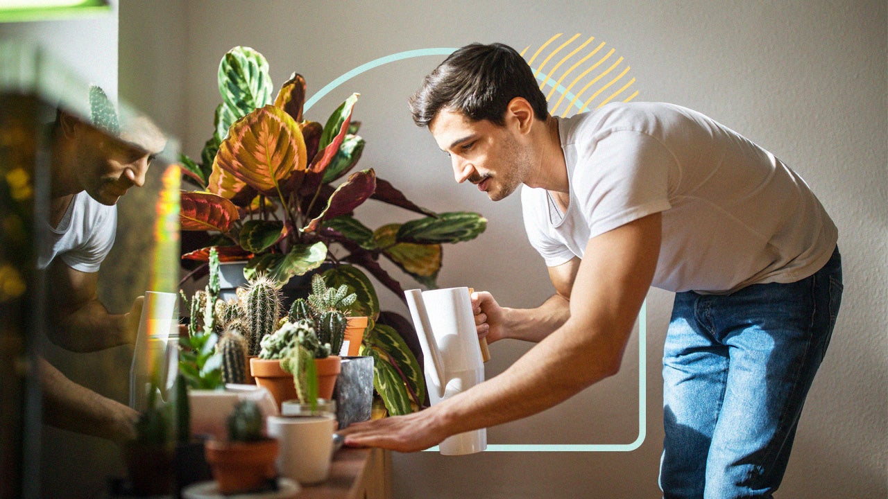 Man watering plants