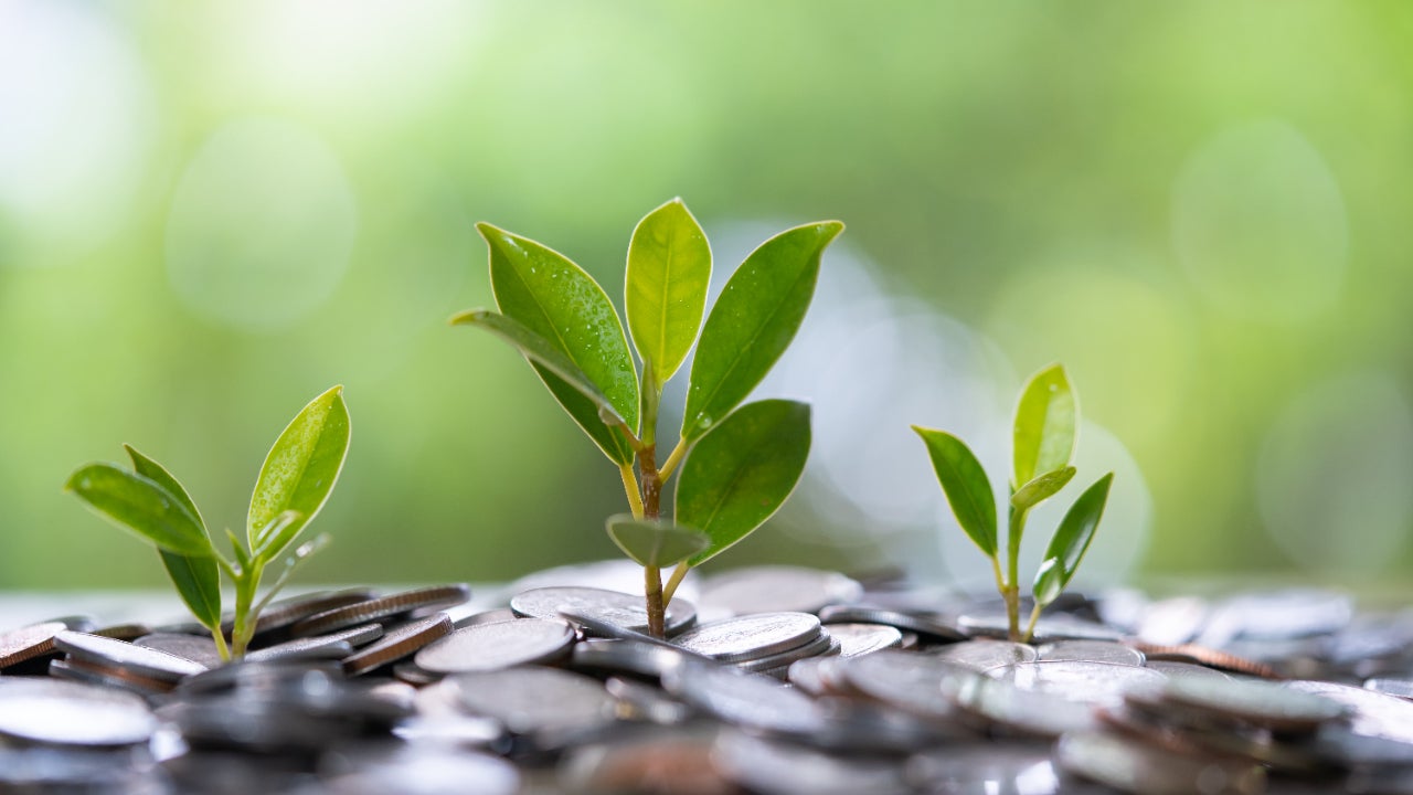 Small plants grow in a bed of coins