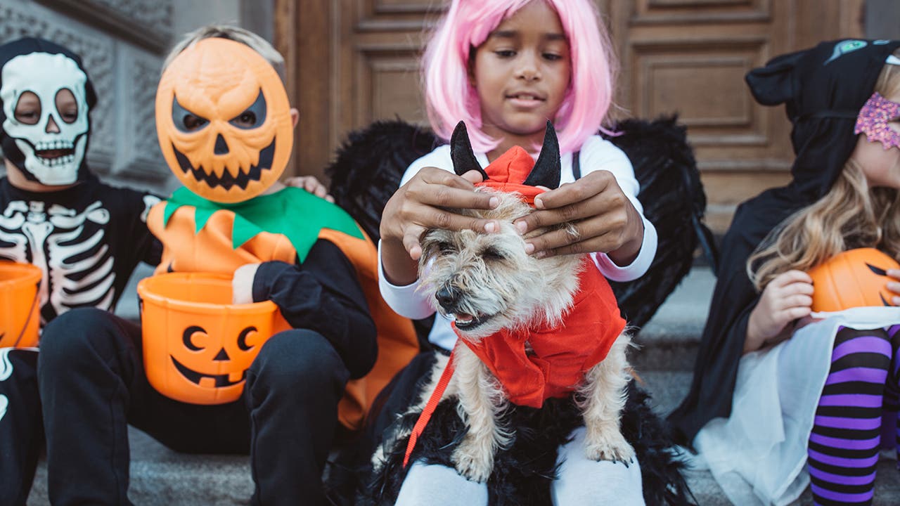 Halloween will cost more this year, but here are 10 candy brands