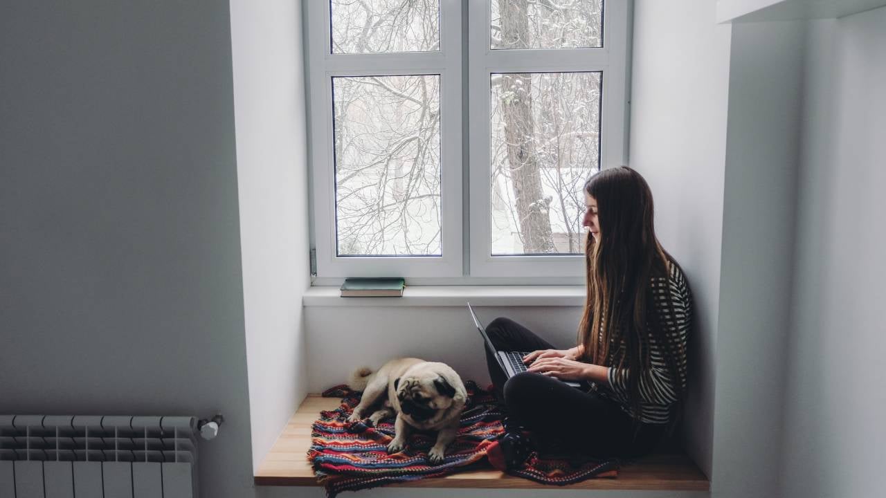 Woman with long hair sitting on window sill using laptop and sleeping pug, looking at snow from the window