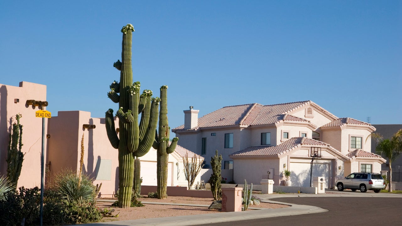 hoenix Arizona Cul-de-sac with Saguaro Cacti