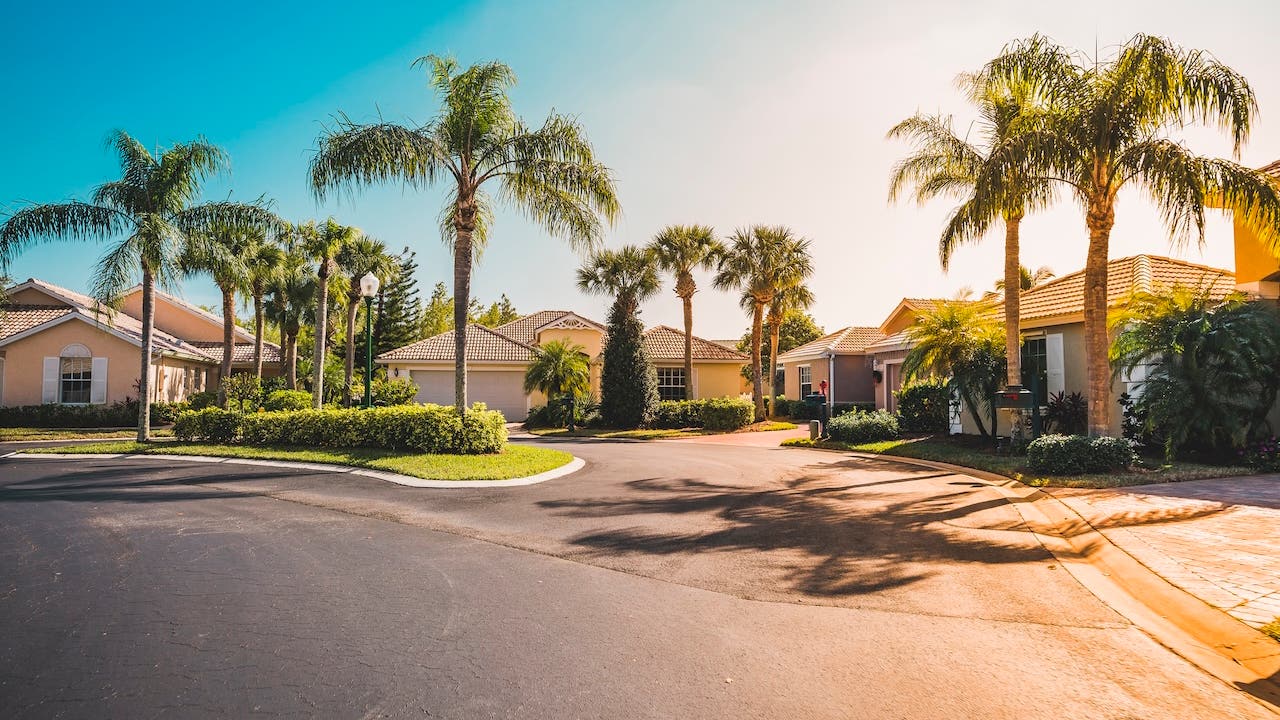 homes in a florida neighborhood with palm trees and bright sun