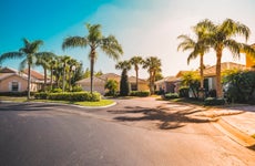 homes in a florida neighborhood with palm trees and bright sun