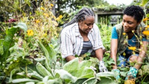 Mother and adult daughter working in community garden