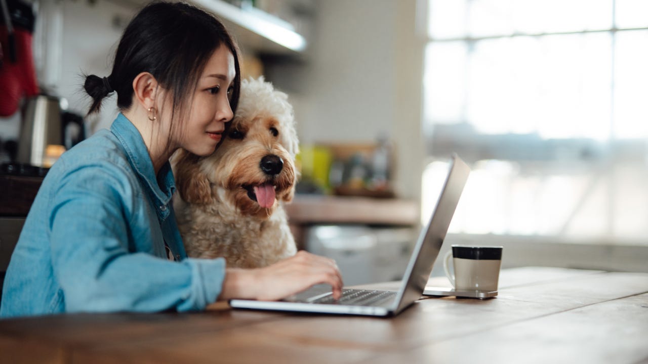 Young Asian woman using laptop next to her dog, sitting at dining table at home. Work life balance. Living with a pet. Online shopping at home.