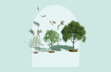 illustration of money growing on trees