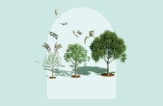 illustration of money growing on trees