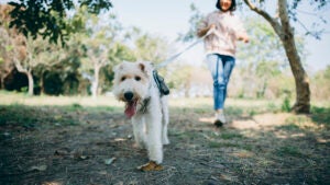 woman walking with her dog at the park