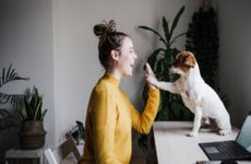 Playful woman giving high-five to dog while sitting at home office
