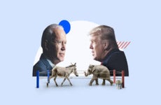 Trump and Biden, donkey and elephant, in a boxing ring