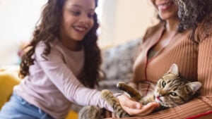 Mom and daughter playing with their cat