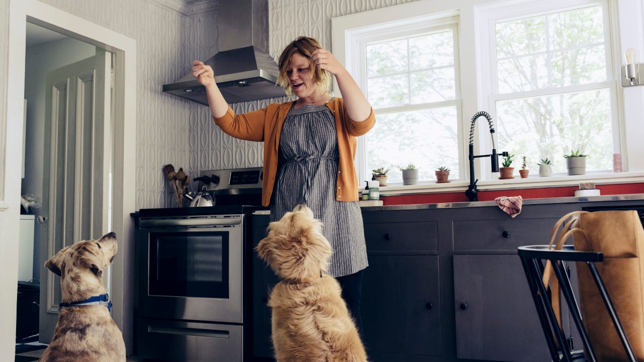 Woman feeding treats to dogs in kitchen