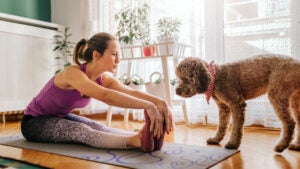 Dog wants to play with owner while she exercising