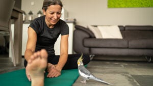 Exercising woman at home smiling at her cockatiel