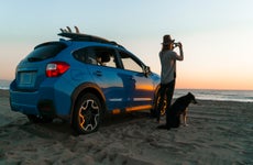 Person looking at sunset on beach with car and dog