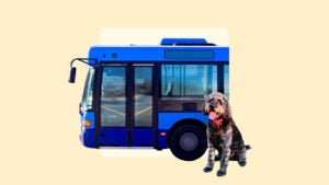 Design element with a bus with a dog sitting in front of it.