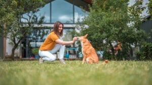 Woman training dog to sit