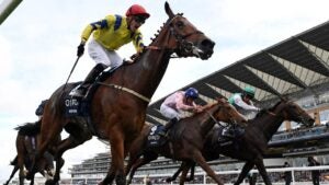 Four horses racing on a racetrack.